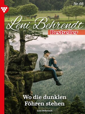 cover image of Leni Behrendt Bestseller 66 – Liebesroman